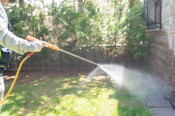 Wasp Removal Services in Russell, GA