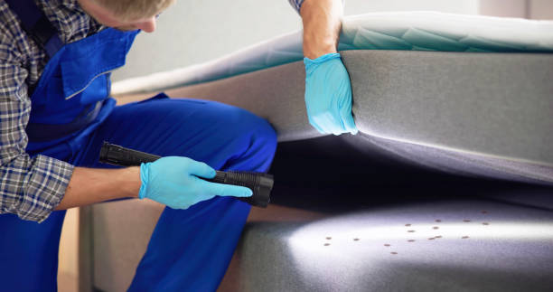 Reliable Russell, GA Pest Control Solutions