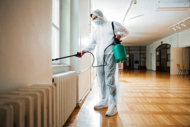 Best Termite Control Services  in Russell, GA