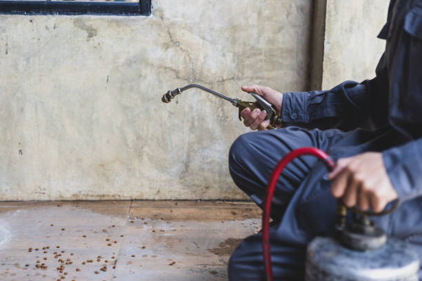 Best Mosquito Control Services  in Russell, GA
